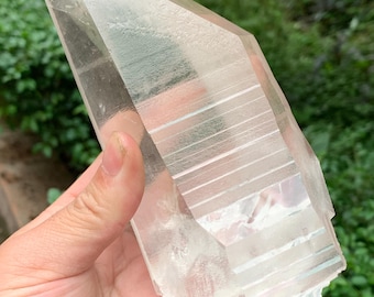 May include: A large, clear quartz crystal with a pointed tip and a rough, natural base. The crystal is held in a hand, showcasing its translucent quality and internal striations. The background features green foliage.
