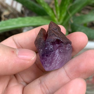 May include: A purple amethyst crystal with a reddish-brown coating. The crystal is pointed and has a natural, rough texture.