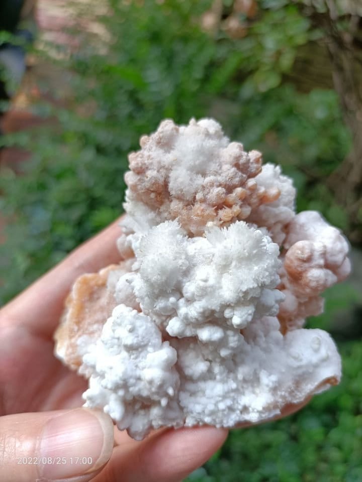 美しい天然鍾乳石、方解石、結晶岩、サンゴのような形をした装飾鍾乳石