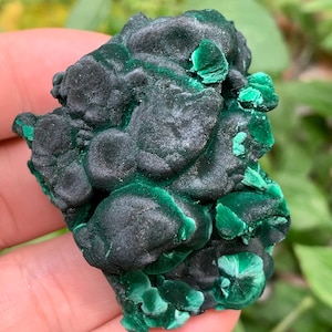 YOU PICK! Natural Fibrous Malachite Specimen/Bubble Velvet Malachite Collection/Green Malachite Rough/Heart Chakra/Malachite Energy Healing
