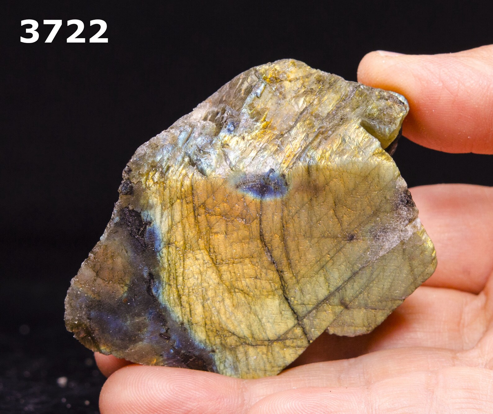 Unpolished Raw Labradorite Crystal/unpolished Labradorite Etsy