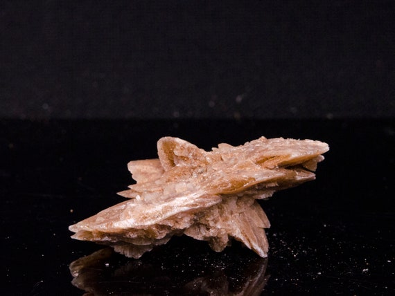 Rosa Del Deserto – Pietra Grezza Naturale Di Selenite, Esemplare Unico Per Collezione, Simbolo Di Forza E Decorazione Elegante