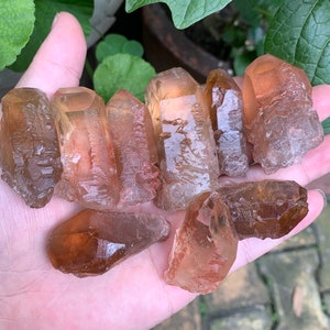 Puede incluir: Una colección de ocho cristales de cuarzo en bruto, naturales, marrones y transparentes. Los cristales son puntiagudos y tienen una textura rugosa y natural.