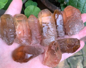 ¡Usted elige!Cristal de cuarzo citrino Nirvana natural/Pequeños puntos de cristal amarillo Nirvana/Cuarzo guardián de registros/Sanación de cristal/Nirvana raro