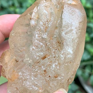 May include: A rough, uncut gemstone in a translucent, pale amber hue. The surface is textured with small, dark brown inclusions. The stone is held in a hand, with a blurred green background.