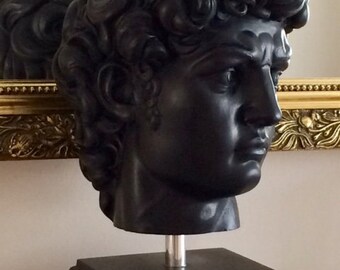 Sculpture, Bust Of Michelangelo's “David” Plaster Head