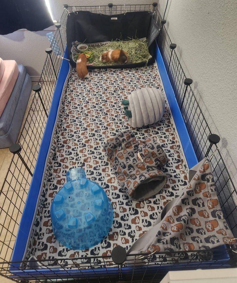 May include: A rectangular guinea pig cage with black wire walls and a blue plastic base. The interior features a white fabric liner with a repeating guinea pig pattern, a blue plastic igloo, a gray fabric tunnel, a gray hideout, and a hammock.