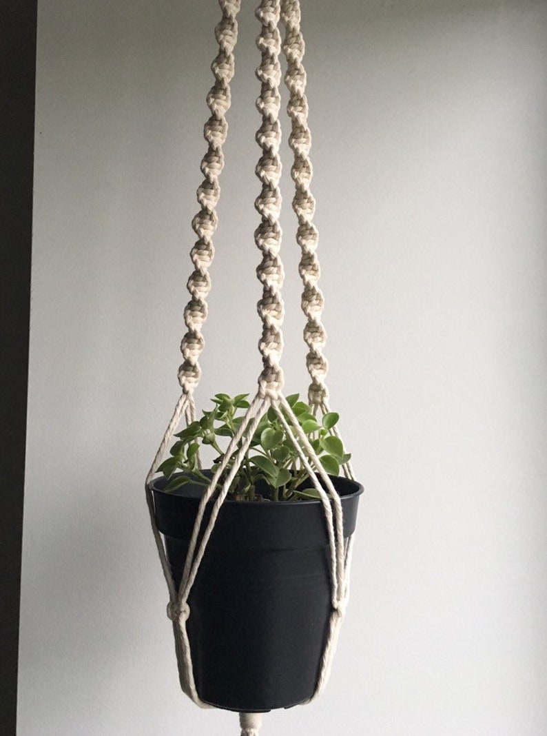 Spiral Macrame Plant Hanger Etsy