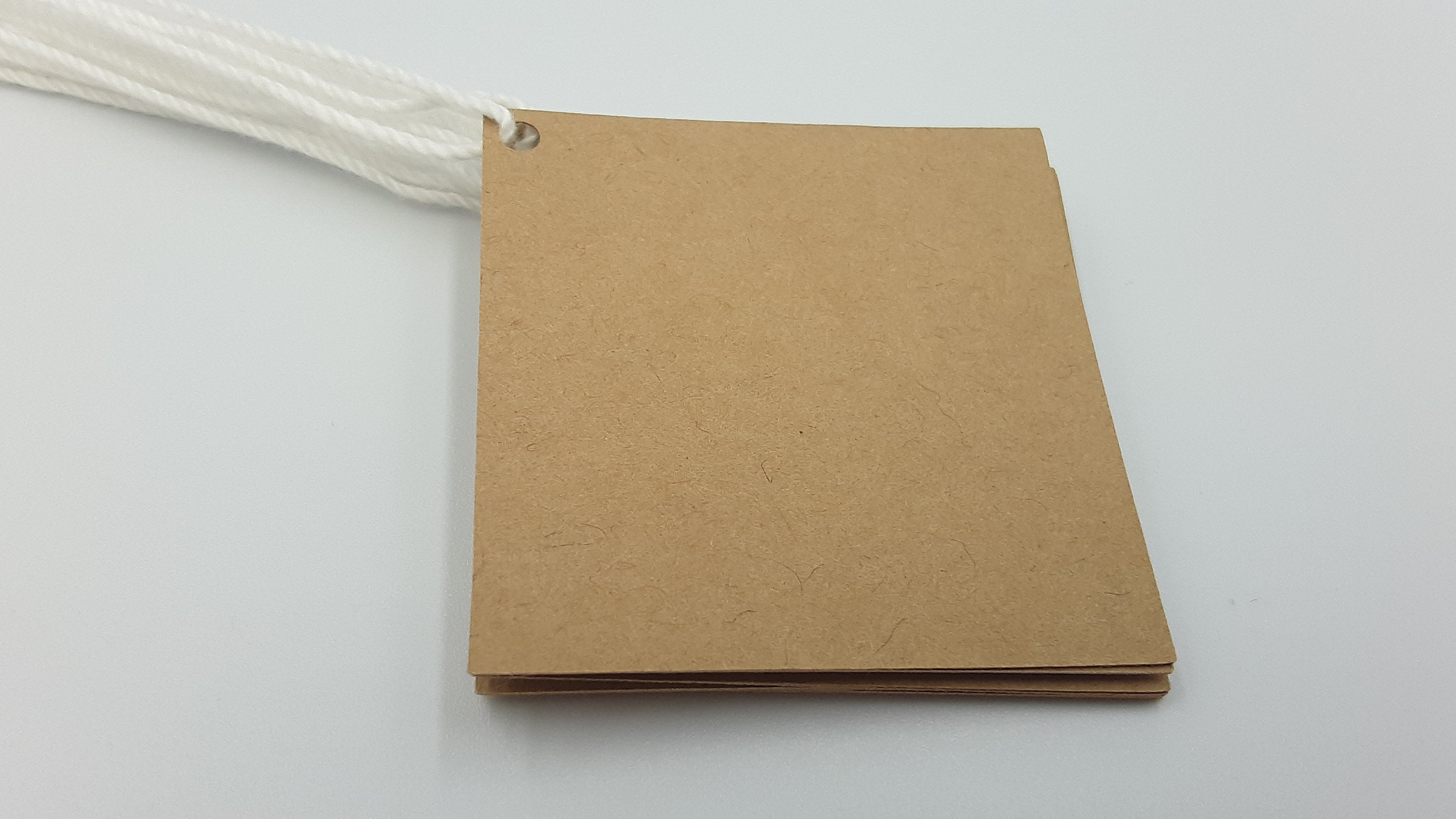 Square Tags, 50 Tags, String Included, Blank Square Tags, Party Favor Tags, Favor Tags, Labels, Kraft Tags, Brown Tags, Kraft Square Tags