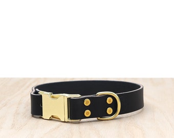 May include: A black leather dog collar with a gold buckle and D-ring.
