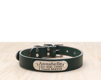 Green Leather Belt Buckle Dog Collar with Riveted Nameplate: Full Grain, Handmade