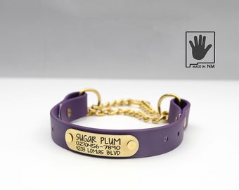 Purple Waterproof Chain Martingale Dog Collar with Riveted Nameplate: Personalized Biothane, Stink Proof