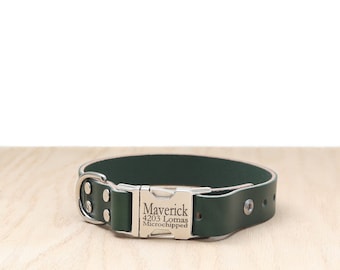 May include: A dark green leather dog collar with a silver buckle. The buckle is engraved with the text "Maverick 4203 Lomas Microchipped".
