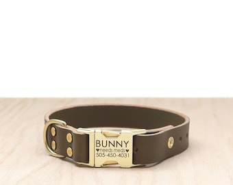 May include: A brown leather dog collar with a brass buckle. The buckle is engraved with the text "BUNNY needs meds" and a phone number.