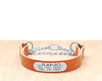 Può includere: Un collare per cani in pelle marrone con una catena argentata e un'etichetta argentata con la scritta "JUNO 123-456-7890 CALL MY MOM".