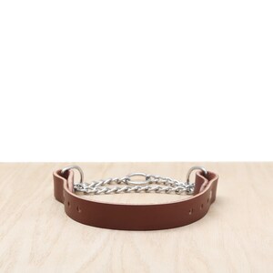 Brown Leather Martingale Collar | Leather Dog Collar | Durable Dog Collar | Designer Dog Collar | Big Dog Collar