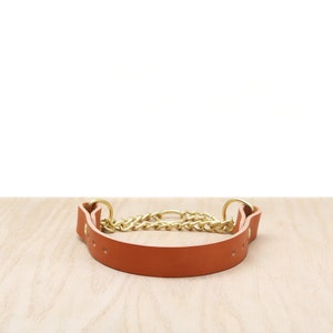 Tan Leather Martingale Collar | Full Grain Leather Dog Collar | Durable Dog Collar | Designer Dog Collar | Big Dog Collar