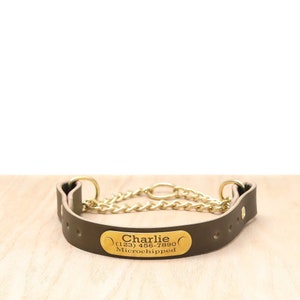 Personalized Olive Leather Martingale Collar | Full Grain Leather Dog Collar | Training Dog Collar | Engraved Nameplate | Big Dog Collar