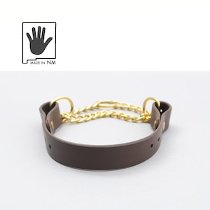 Wasserdichtes Martingale Hundehalsband | Handgefertigtes Martingale Halsband aus Biothane | Halsband aus Biothane | Stink Proof Limited Slip