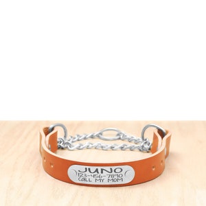 Personalized Tan Leather Martingale Collar | Full Grain Leather Dog Collar | Durable Dog Collar | Designer Dog Collar | Big Dog Collar