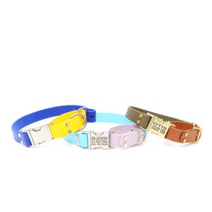 Puede incluir: Cuatro collares de perro coloridos con hebillas de metal y etiquetas de nombre grabadas. Los collares son azul, amarillo, azul claro y marrón. Las etiquetas de nombre dicen "Shaggy", "Call My Mom", "Otis" y "123-456-7890,  ABQ, NM".