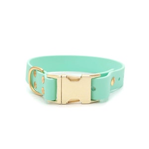 Seafoam Green Waterproof Quick Release Collar | Biothane Dog Collar | Stink Proof Collar | Waterproof Collar
