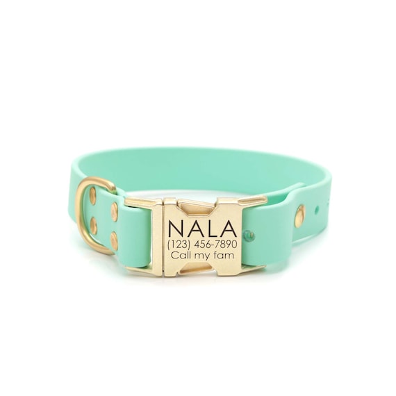 Personalized Seafoam Green Dog Collar: Waterproof Biothane Quick Release