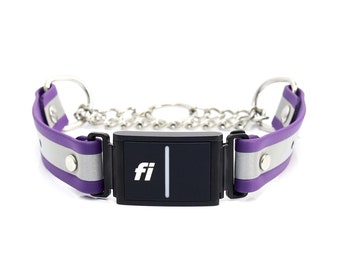 Collar Martingale reflectante compatible con Fi - 8 colores / Collar resistente al agua / Collar para perros de biotano / Collar para perros de entrenamiento / Serie Fi 2 o 3