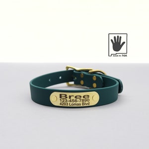 Collar impermeable personalizado con hebilla de cinturón en verde bosque / Collar de biotano para perros / Collar para perros grandes / Collar a prueba de olores