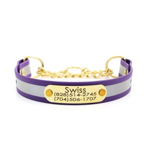 Personalized Purple Matte Reflective Martingale Dog w Engraved Nameplate | High Visibility Waterproof Biothane Dog Collar | Training Collar