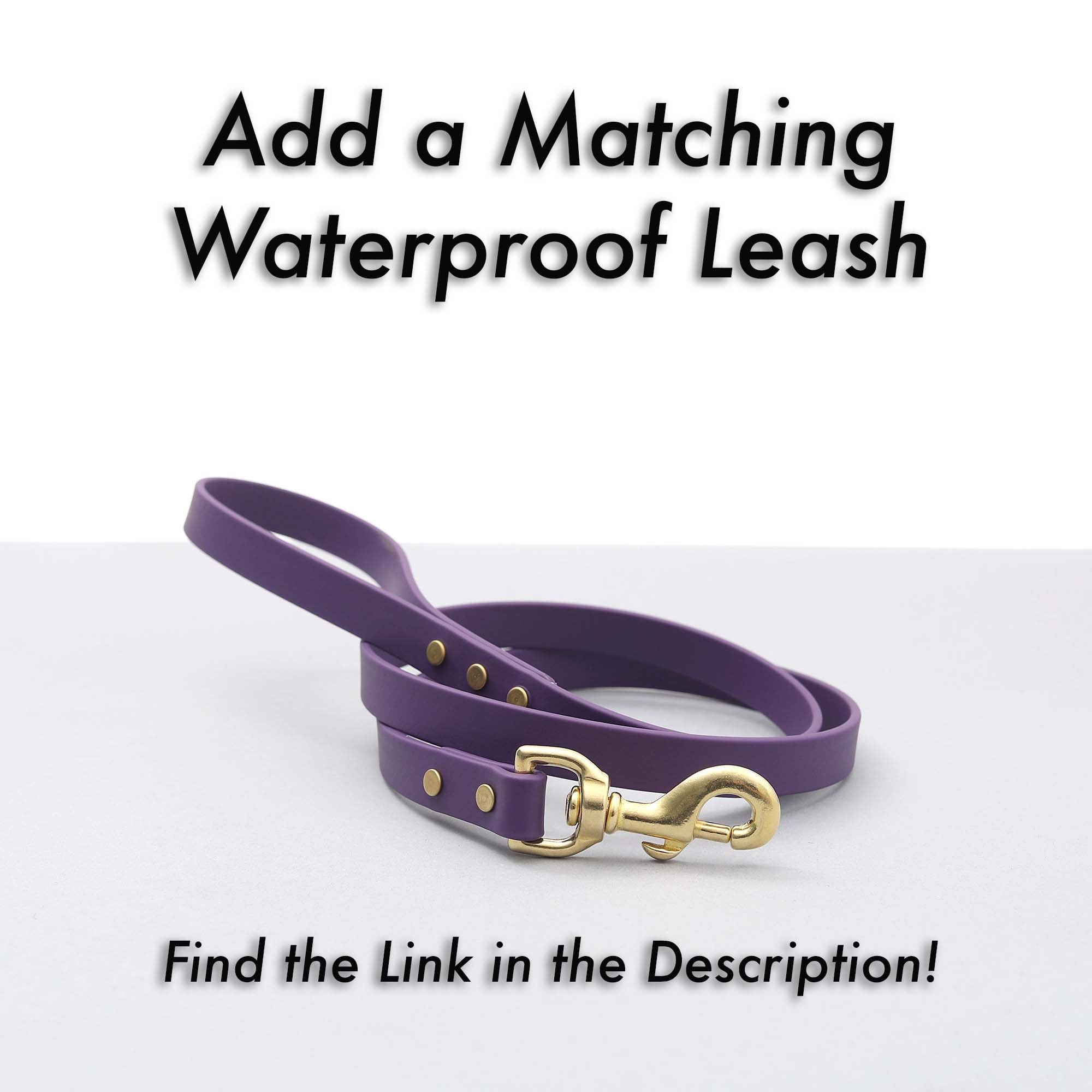 Training Collar For Dogs Martingale Collar For Dogs UV Printed Dog