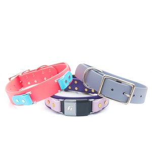May include: Three dog collars in pink, purple, and grey. The pink collar has light blue accents, the purple has gold-coloured dots, and the grey has a silver buckle. The bottom collar has a black and silver device with the letters "fi".