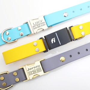 Waterproof Fi Compatible Quick Release Dog Collar: Engraved Buckle, Series 3/3+