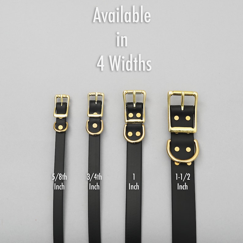 Puede incluir: Collares negros para perros con hebillas doradas, presentados en cuatro anchos: 1,6 cm, 1,9 cm, 2,5 cm y 3,8 cm. El texto "Available in 4 Widths" se encuentra en la parte superior de la imagen.