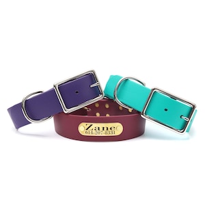 Personalized Waterproof Wide Belt Buckle Collar (20 Colors) | Big Dog Collar w Personalized Riveted Nameplate | Handmade Biothane Dog Collar
