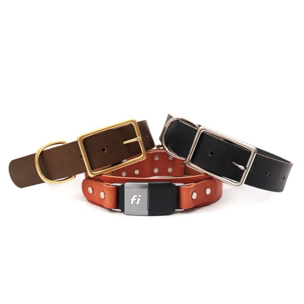Leather Fi Compatible Dog Collar | 10 Colors | Monochrome | Big Dog Collar | GPS Collar Band w Leather Fi Tab Connectors | Fi Series 2 or 3
