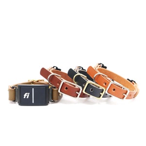 Collar de cuero con hebilla compatible con Fi para perros pequeños / Collar de 16 mm de ancho / Collar Fi para perros pequeños / Collar de cuero de grano completo / Serie 3/3+