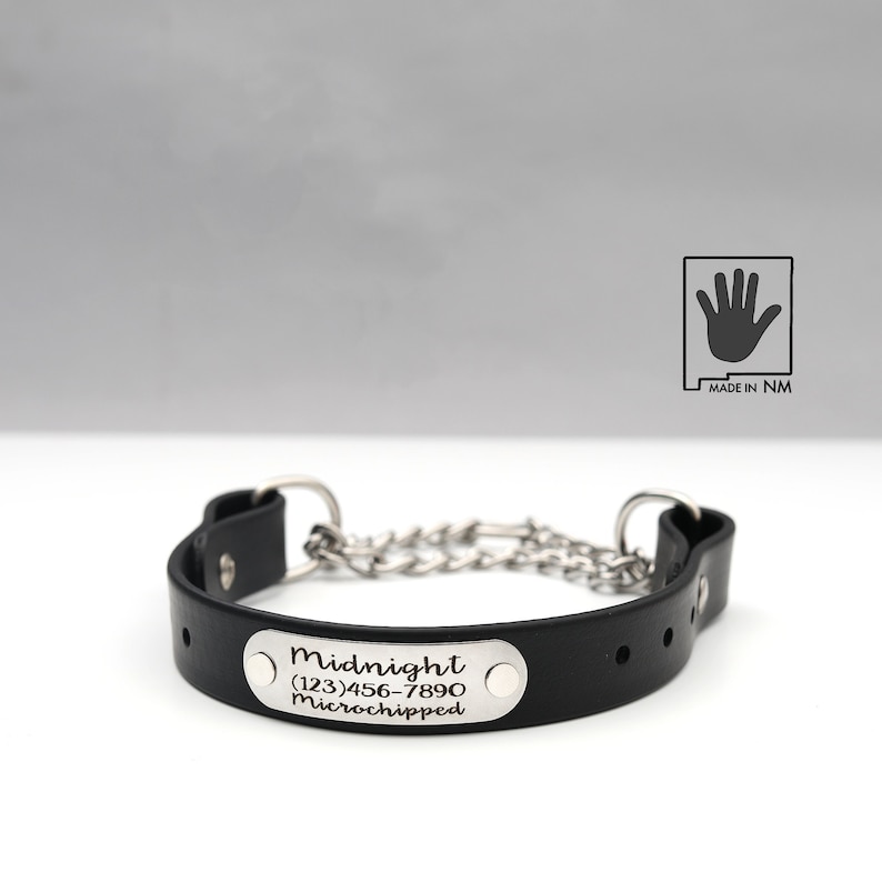 selling shops Personalized Black Waterproof Martingale Dog