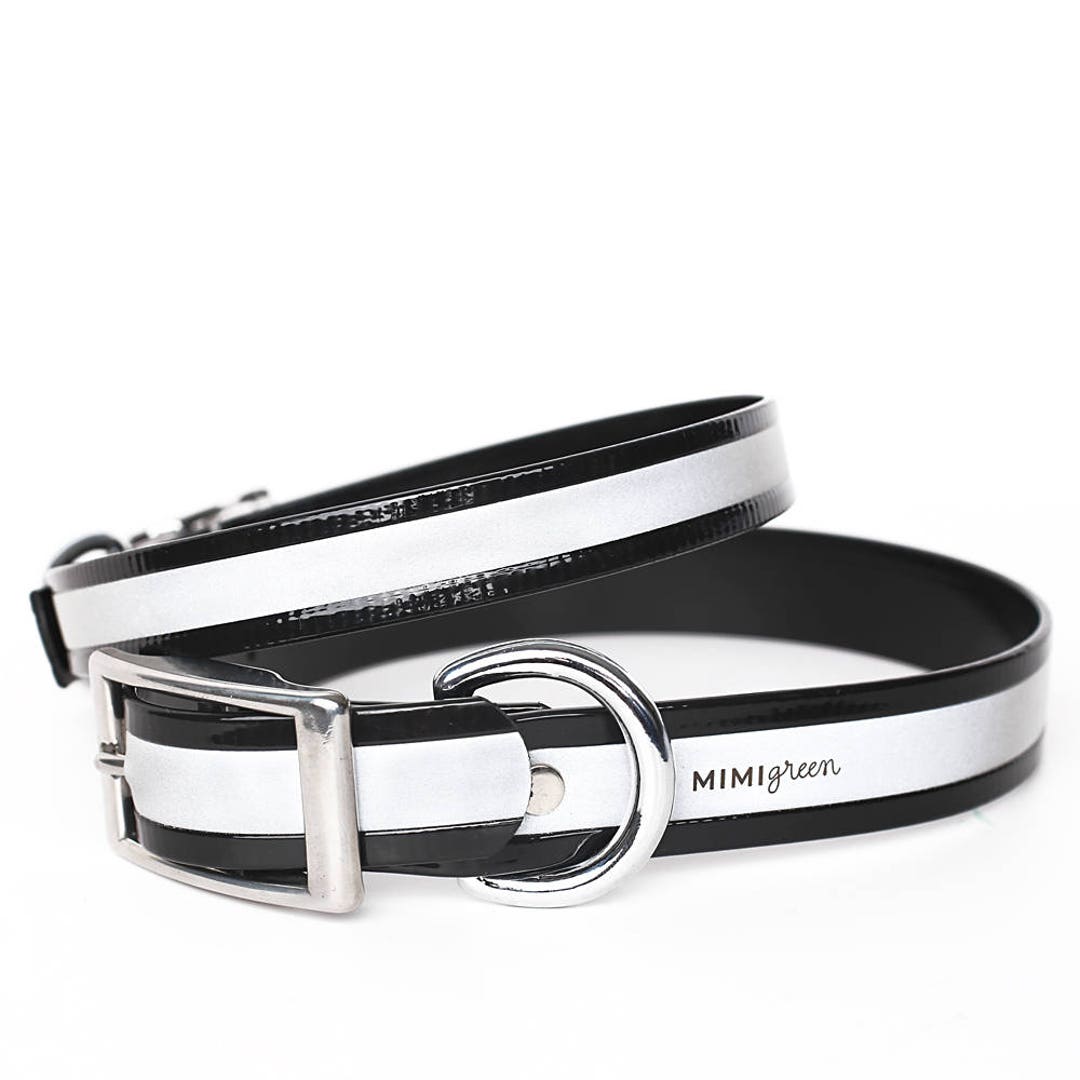 Curated visual reference: Black Shiny Reflective Waterproof Dog Collar Photo Inspiration