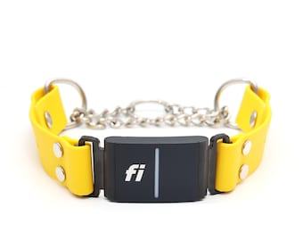 Fi-kompatibelt vattentätt Martingale-halsband med kedjefunktion: Lätt att rengöra, serie 3/3+
