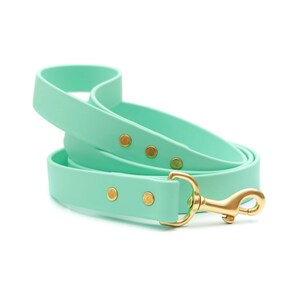 Seafoam Grün Wasserdichte Hundeleine | Kurze Umhängeleine | Lange Trainingsleine |  | Stinksichere Leine | Handmade in USA Hundeleine | Biothane