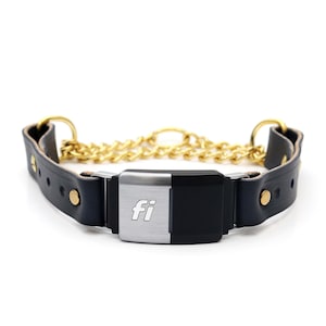 Fi Compatible Leather Martingale Collar - 9 colors | Training Dog Collar | Leather Dog Collar | Durable Dog Collar | Fi Series 2 or 3/3+