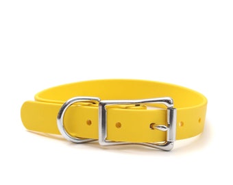 Puede incluir: Un collar para perro de color amarillo brillante con una hebilla de metal plateado y una anilla en D. El collar está hecho de un material flexible y está diseñado para ser usado alrededor del cuello de un perro. El collar está sobre un fondo blanco.