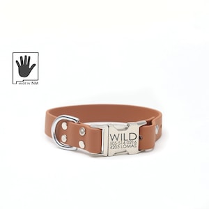 May include: A brown leather dog collar with a silver buckle. The buckle is engraved with the text "WILD 505-514-0216 4203 LOMAS".