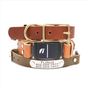 Könnte beinhalten: Ein Stapel aus drei Hundehalsbändern aus Leder. Das obere Halsband ist braun mit einer Messingschnalle. Das mittlere Halsband hat ein schwarzes Fi-Smart-Tracker-Modul. Das untere olivgrüne Halsband trägt ein silbernes Metallschild mit der Gravur Tulsa 402-699-7977.