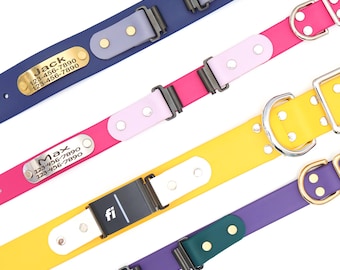 Fi Compatible Waterproof Belt Buckle Dog Collar: Engraved Nameplate, Series 3/3+