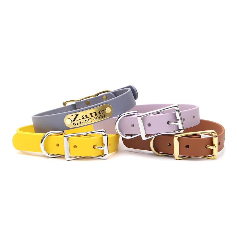 Puede incluir: Una colecci&oacute;n de collares para perros en amarillo, gris, lavanda y marr&oacute;n. Cada collar tiene una hebilla y un lazo de metal. Un collar gris tiene una placa dorada con el nombre "Zane" y un n&uacute;mero de tel&eacute;fono.