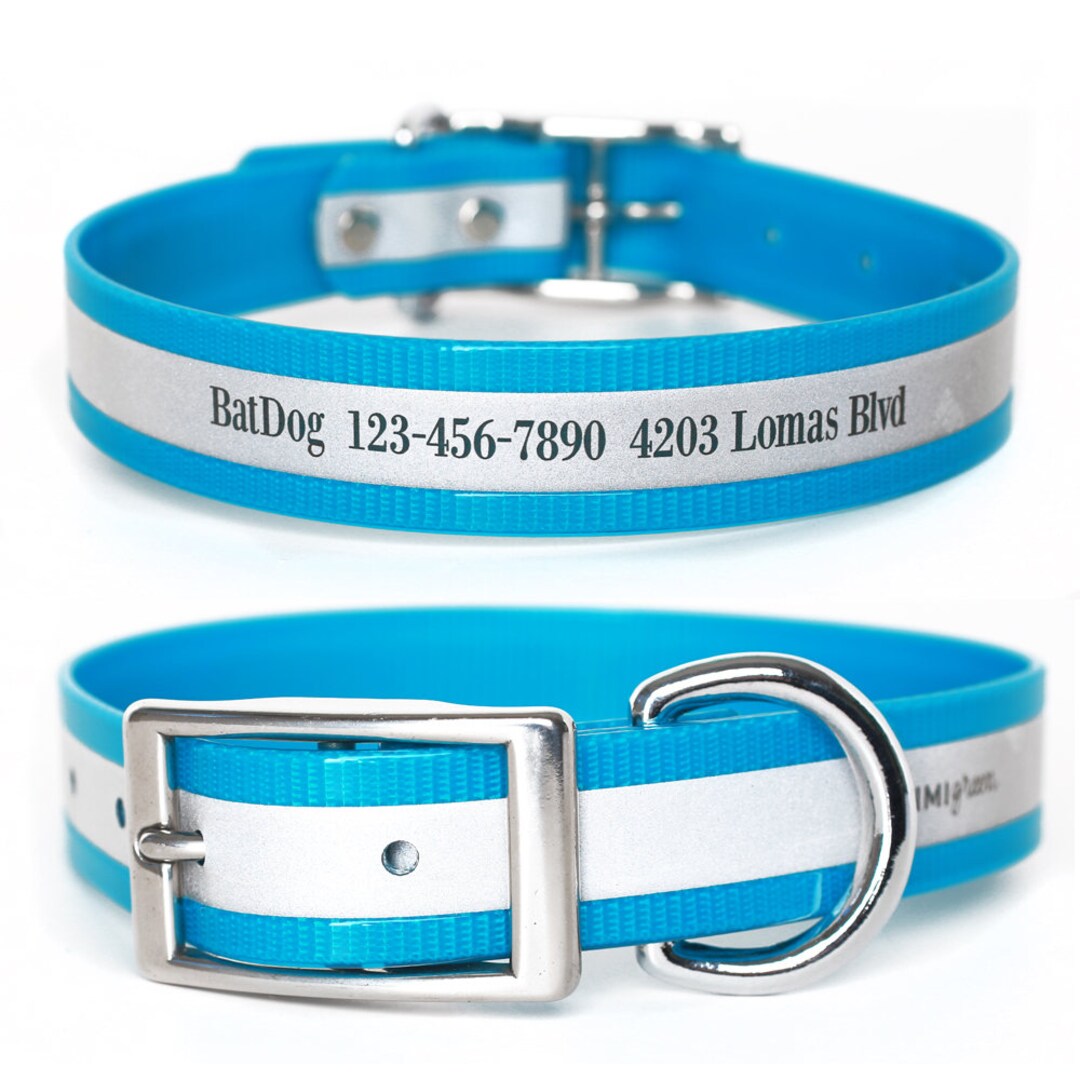 Personalized Turquoise Blue Reflective Collar Biothane Dog Collar Belt ...