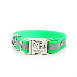 Personalized Green Matte Reflective Waterproof Quick Release Dog Collar | Engraved Reflective Biothane Dog Collar | Smell Proof Dog Collar
