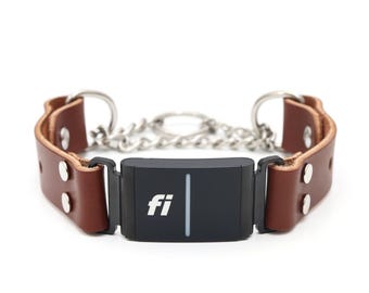 Fi Compatible Leather Martingale Dog Collar: Training Collar, Series 3/3+